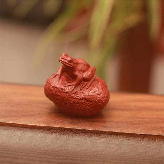 Little frog